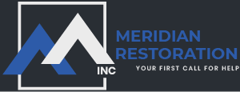 meridian-logo-bgnavy